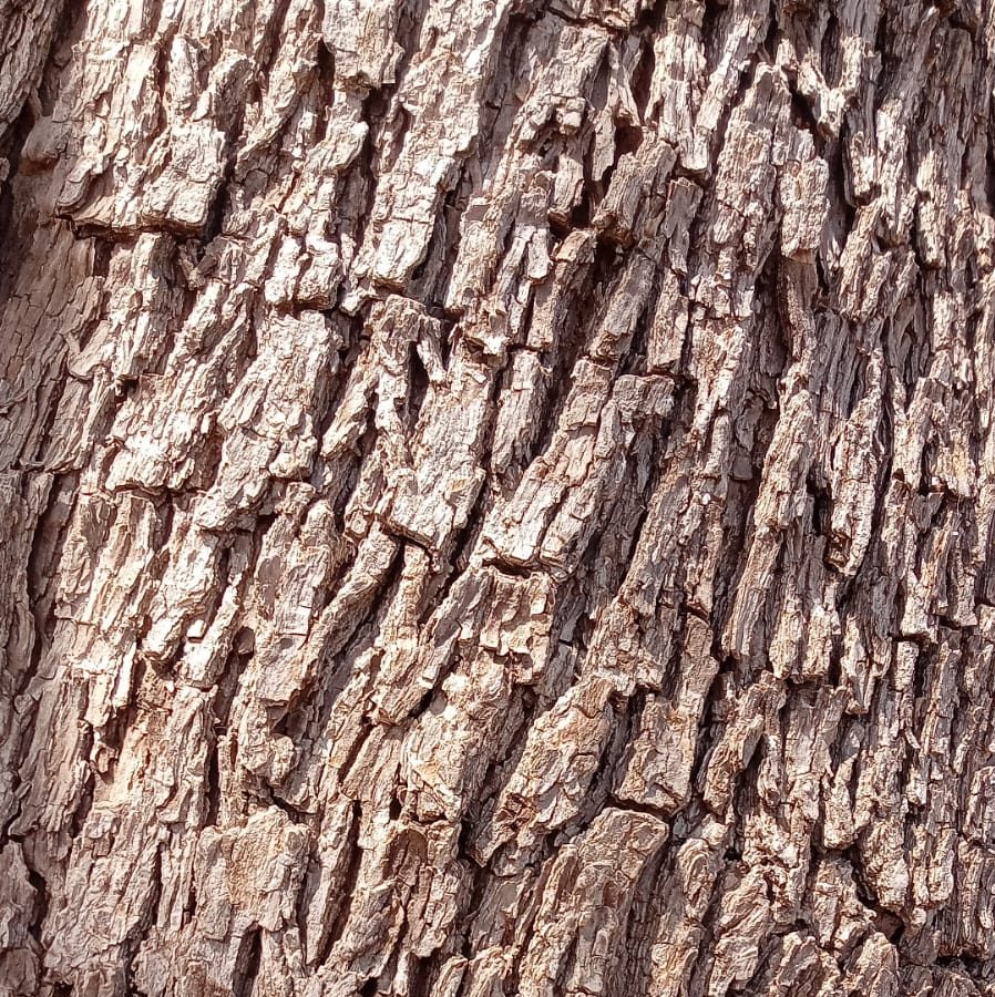 Imagen de WhatsApp 2024-04-25 a las 18.00.52_01bffe61