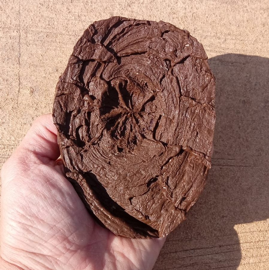 Imagen de WhatsApp 2024-04-26 a las 17.48.50_50134eb3